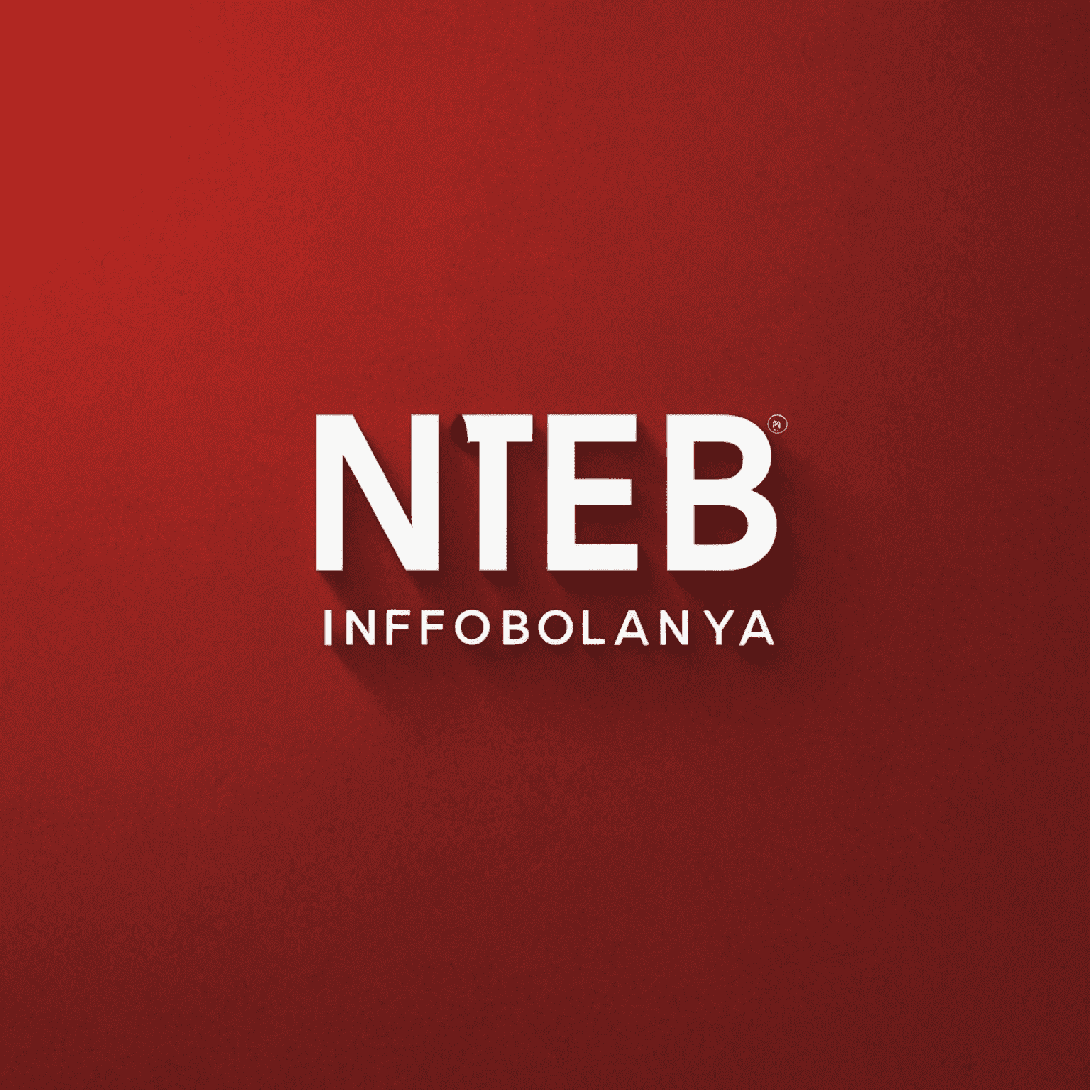 Infobolanya logo - Kırmızı arka plan üzerinde beyaz yazı ile şirket adı